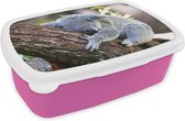 Broodtrommel Roze - Lunchbox - Brooddoos - Koala - Boomstam - Knuffel - Kids - Jongens - Meiden - 18x12x6 cm - Kinderen - Meisje