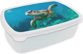 Broodtrommel Wit - Lunchbox - Brooddoos - Zeeschildpad zwemmend in Hawai - 18x12x6 cm - Volwassenen