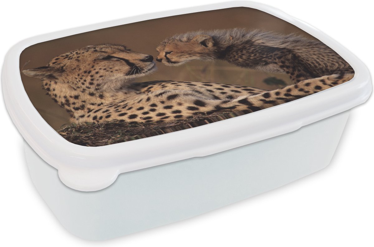 Broodtrommel Wit - Lunchbox - Brooddoos - Cheeta moeder en welp - 18x12x6 cm - Volwassenen