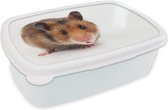 Broodtrommel Wit - Lunchbox - Brooddoos - Nieuwsgierige hamster - 18x12x6 cm - Volwassenen