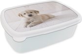 Broodtrommel Wit - Lunchbox - Brooddoos - Witte Golden Retriever puppy - 18x12x6 cm - Volwassenen