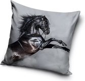 Zwarte Paard Sierkussens - Kussen - 40 x 40 inclusief vulling - Kussen van Polyester - KledingDroom®