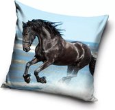 Zwarte Paard Sierkussens - Kussen - 40 x 40 inclusief vulling - Kussen van Polyester - KledingDroom®