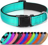 Halsband hond - reflecterend - turquoise - maat M - oersterk - waterdicht - hondenhalsband - geschikt voor iedere hondenriem - voor middelgrote honden