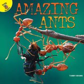 Plants, Animals, and People- Amazing Ants