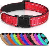 Halsband hond - reflecterend - rood - maat XS - oersterk - waterdicht - hondenhalsband - geschikt voor iedere hondenriem - voor hele kleine honden