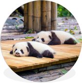 WallCircle - Wandcirkel ⌀ 30 - Panda's - Vloer - Hout - Ronde schilderijen woonkamer - Wandbord rond - Muurdecoratie cirkel - Kamer decoratie binnen - Wanddecoratie muurcirkel - Woonaccessoires