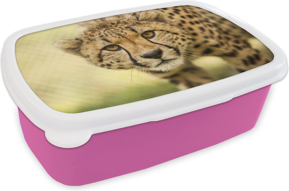 Broodtrommel Roze - Lunchbox - Brooddoos - Luipaard - Cheeta - Dier - 18x12x6 cm - Kinderen - Meisje