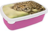 Broodtrommel Roze - Lunchbox - Brooddoos - Luipaard - Cheeta - Dier - 18x12x6 cm - Kinderen - Meisje