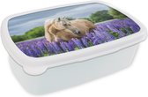 Broodtrommel Wit - Lunchbox Paard - Bloemen - Paars - Brooddoos 18x12x6 cm - Brood lunch box - Broodtrommels voor kinderen en volwassenen
