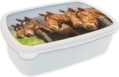 Broodtrommel Wit - Lunchbox Paarden - Hek - Zomer - Brooddoos 18x12x6 cm - Brood lunch box - Broodtrommels voor kinderen en volwassenen