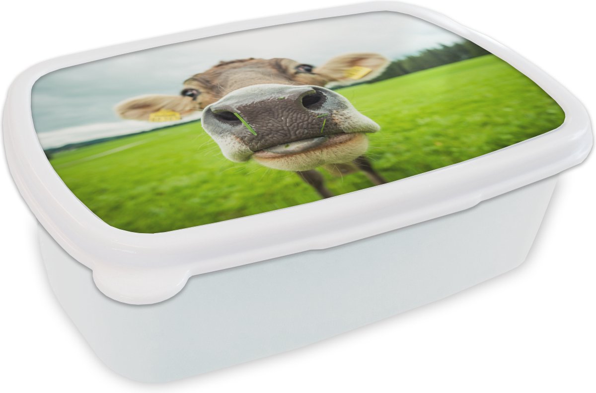 Broodtrommel Wit - Lunchbox - Brooddoos - Koe - Dieren - Gras - Macro - 18x12x6 cm - Volwassenen