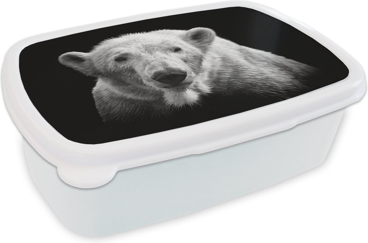 Broodtrommel Wit - Lunchbox - Brooddoos - IJsbeer - Dier - Zwart - Wit - 18x12x6 cm - Volwassenen