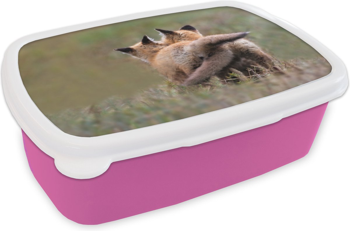 Broodtrommel Roze - Lunchbox - Brooddoos - Vos - Gras - Dieren - 18x12x6 cm - Kinderen - Meisje