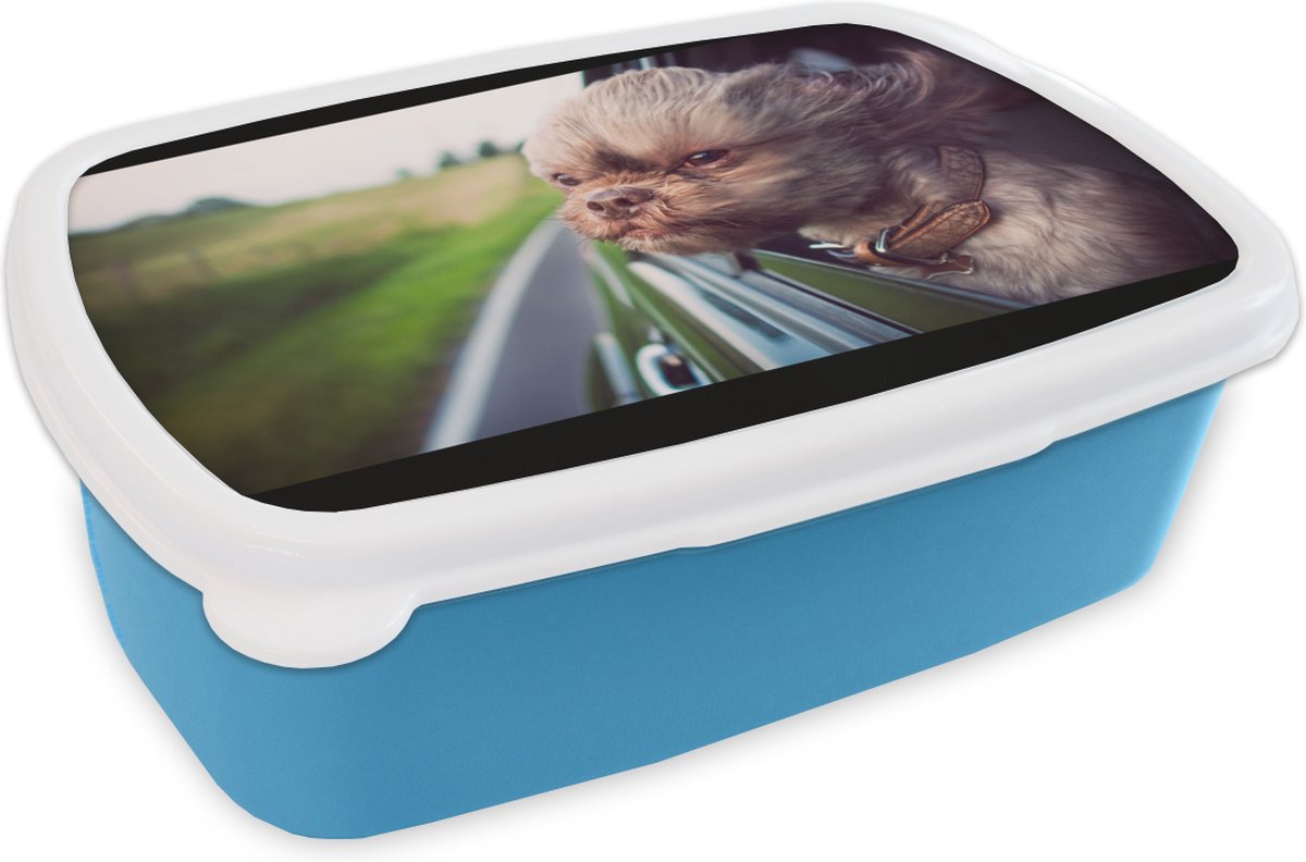 Broodtrommel Blauw - Lunchbox - Brooddoos - Hond - Auto - Dier - 18x12x6 cm - Kinderen - Jongen