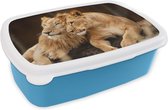 Broodtrommel Blauw - Lunchbox - Brooddoos - Leeuwen - Bruin - Dieren - 18x12x6 cm - Kinderen - Jongen