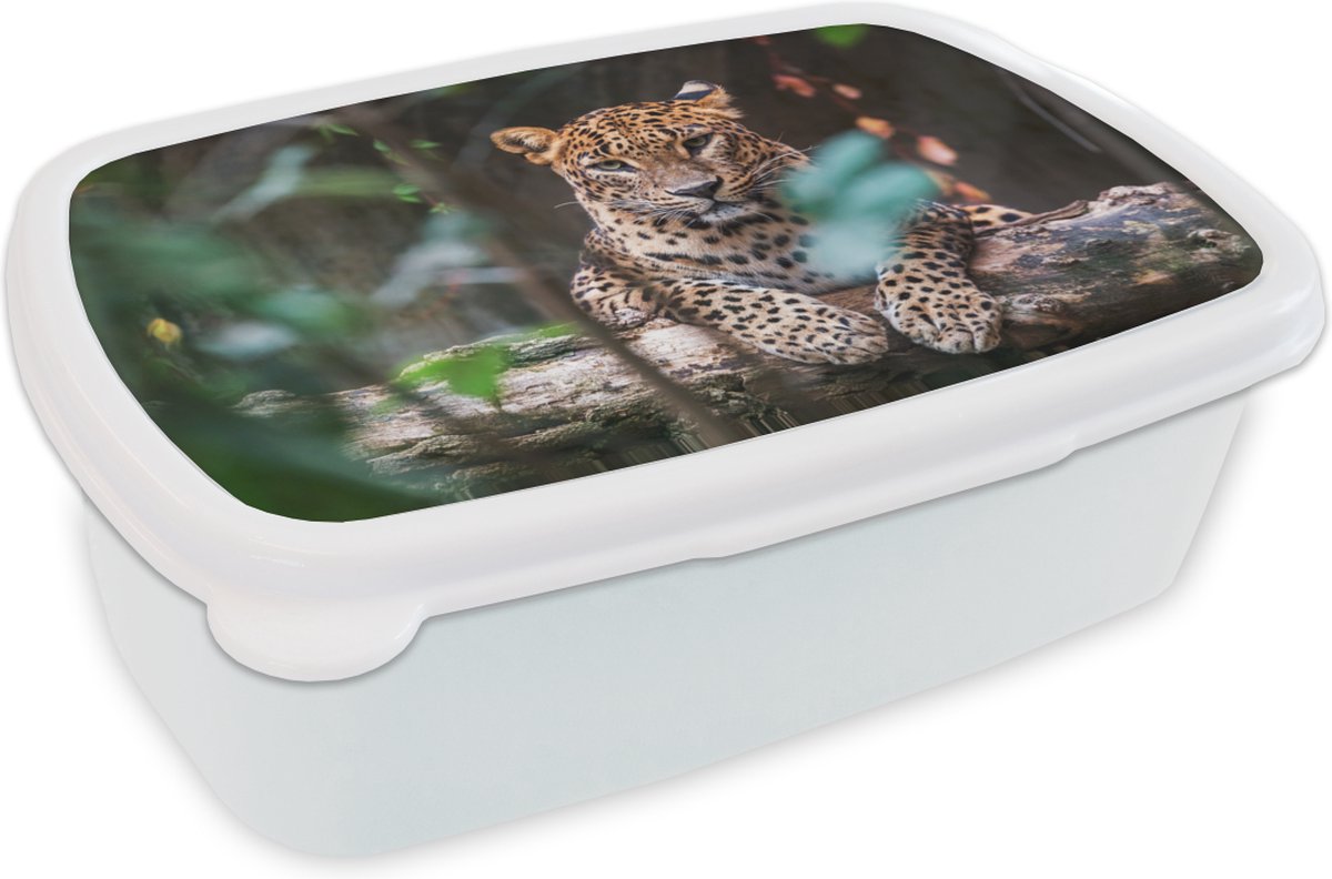 Broodtrommel Wit - Lunchbox - Brooddoos - Panter - Jungle - Dieren - 18x12x6 cm - Volwassenen