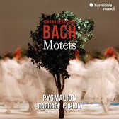 Ensemble Pygmalion - Johann Sebastian Bach: Motets (CD)
