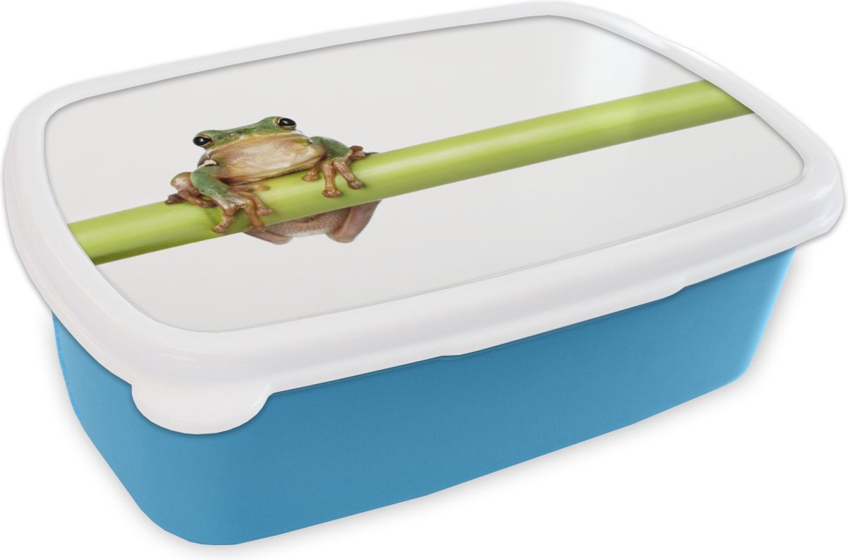 Broodtrommel Blauw - Lunchbox - Brooddoos - Kikker - Bamboe - Wit - 18x12x6 cm - Kinderen - Jongen