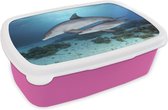 Broodtrommel Roze - Lunchbox - Brooddoos - Dolfijn - Kalf - Zee - 18x12x6 cm - Kinderen - Meisje