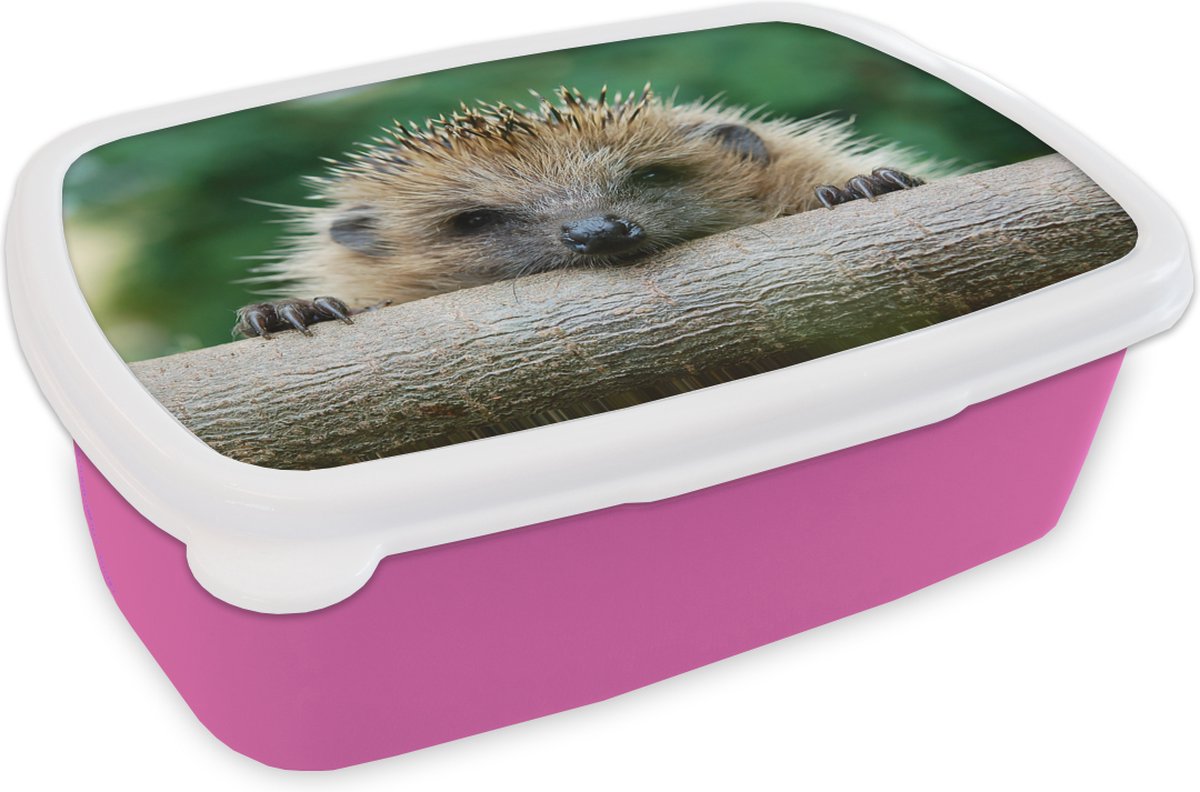Broodtrommel Roze - Lunchbox - Brooddoos - Egel bijt in hout - 18x12x6 cm - Kinderen - Meisje