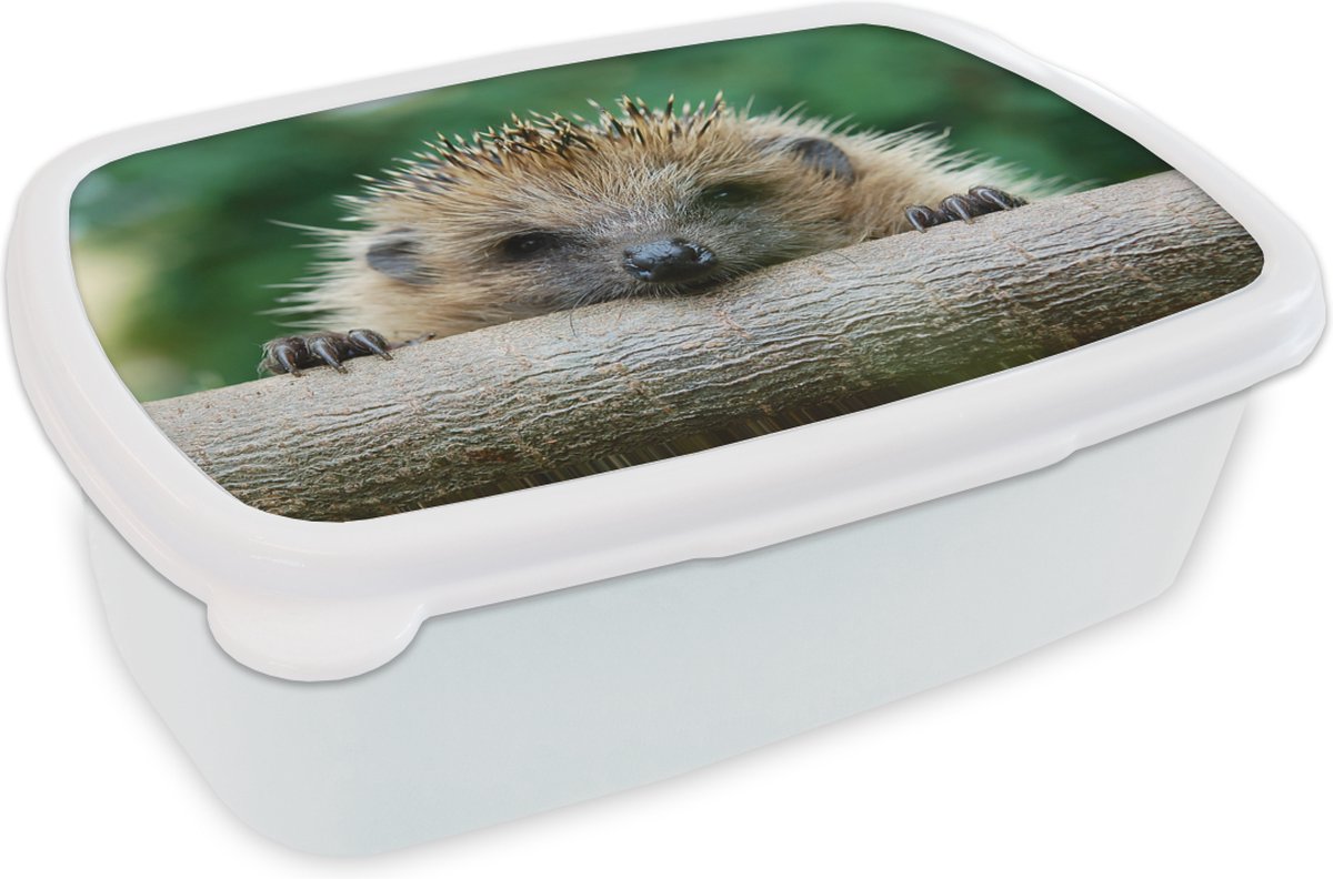 Broodtrommel Wit - Lunchbox - Brooddoos - Egel bijt in hout - 18x12x6 cm - Volwassenen