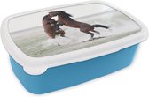 Broodtrommel Blauw - Lunchbox - Brooddoos - Wilde paarden testen elkaar - 18x12x6 cm - Kinderen - Jongen