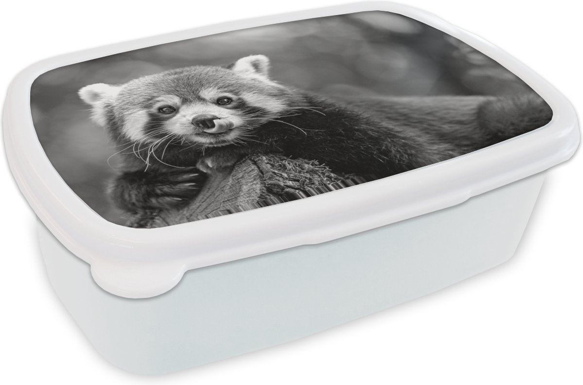 Broodtrommel Wit - Lunchbox - Brooddoos - Gekke rode panda - zwart wit - 18x12x6 cm - Volwassenen