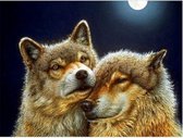 Artibalta Diamond Painting Pair of Wolves 60x45 cm  Vierkante steentjes