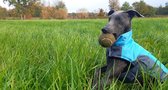 Regenjas Hond - Hondenjasjes Voor Hondjes- Winterjas - Waterdicht - Reflecterend - Afwasbaar - Kleur : Blauw - Maat : Medium