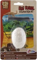 Fossil Excavation kit Egg Fossil