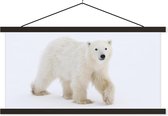 Porte-affiche avec affiche - Affiche scolaire - Ours polaire - Neige - Wit - 90x45 cm - Lattes noires