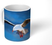 Mok - Witkopmeeuw tijdens de vlucht - 350 ML - Beker