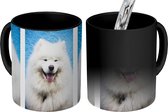 Magische Mok - Foto op Warmte Mok - Gezichtsuitdrukkingen van de Samoyeed - 350 ML