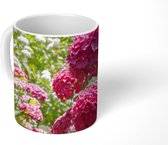 Mok - Een tuin vol met roze en witte hortensia's - 350 ML - Beker