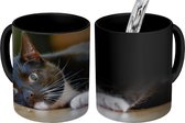 Magische Mok - Foto op Warmte Mok - Katten - Vloer - Zwart - 350 ML