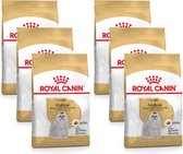 Royal Canin Bhn Maltese Adult - Nourriture pour chiens - 6 x 1,5 kg