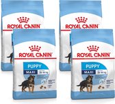 Royal Canin Shn Maxi Puppy - Hondenvoer - 4 x 4 kg