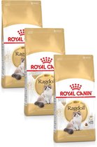 Royal Canin Ragdoll Adult - Kattenvoer - 3 x 2 kg