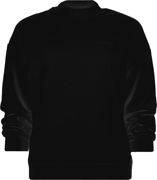 Raizzed NORI  Vrouwen  Sweater-Maat-XS