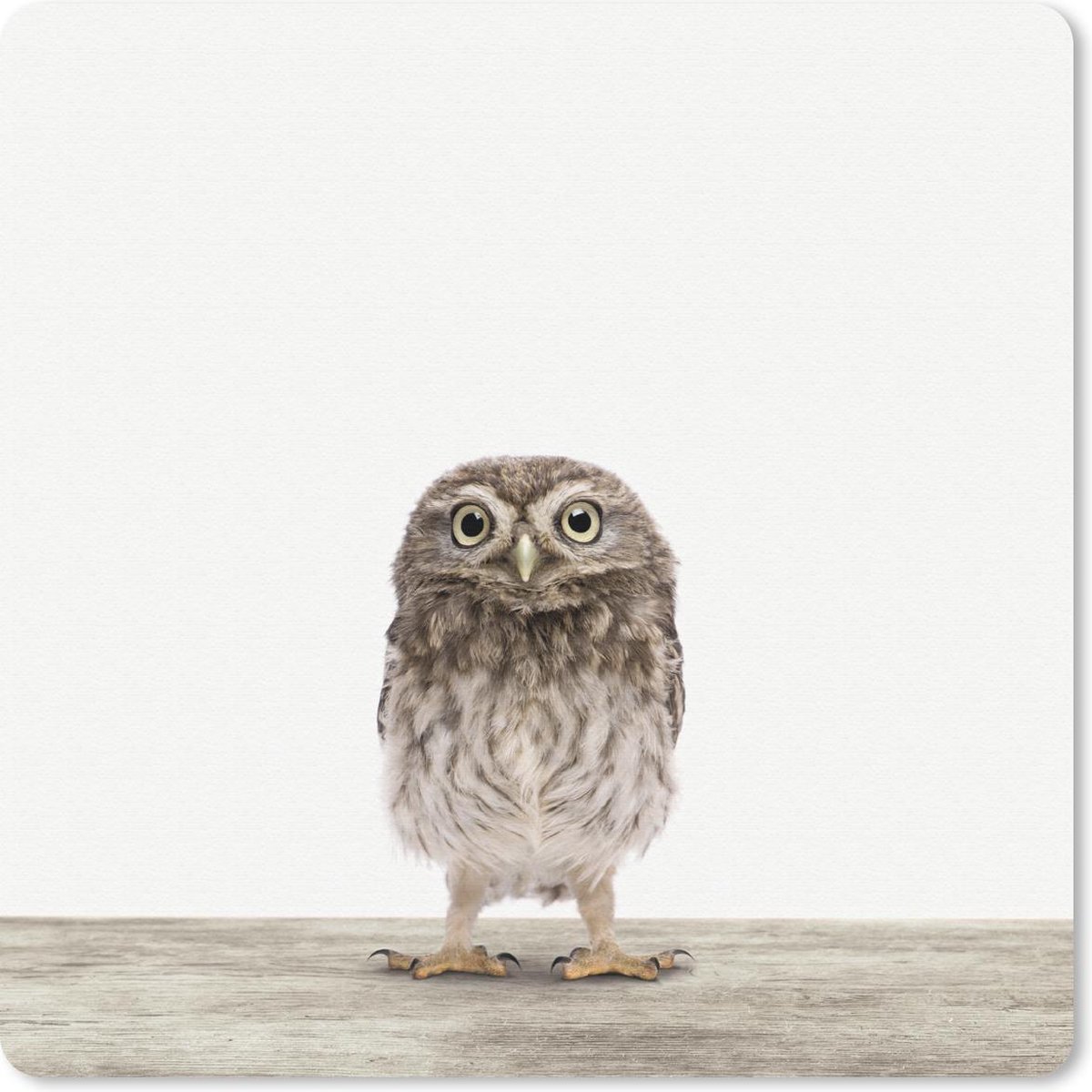 Muismat 30x30 cm - Mousepad Dieren - Wit - Uil - Muismatten