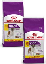 Royal Canin Shn Giant Adult - Hondenvoer - 2 x 18 kg