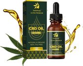 CBD Olie 10 % - Cannabidiol druppels - 5000 mg & 30 ml - Organic Natural Flavor - CBD Oil