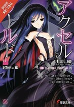 Accel World, Vol. 11 (light novel)