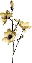 Magnolia - Ivoor/Paars - 80cm
