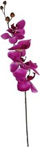Orchidee - Paars - 75cm