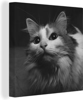 Tableau sur toile Profil animal chat en noir et blanc - 20x20 cm - Décoration murale