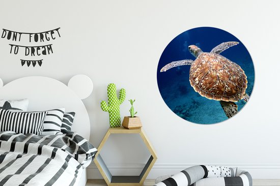 WallCircle - Cercle mural - Cercle mural - Tirage photo tortue de mer - Aluminium - Dibond - 90x90 cm - Intérieur et Extérieur