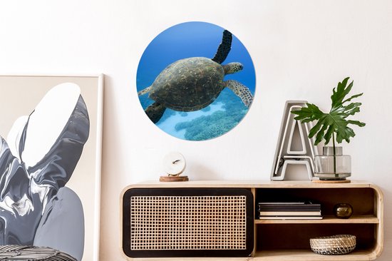 WallCircle - Peinture - Tortue Verte Nageuse Photo Tirage Et - Multicolore - 60 X 60 Cm