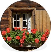 WallCircle - Wandcirkel - Muurcirkel - Venster met geranium bloemen in bloei - Aluminium - Dibond - ⌀ 60 cm - Binnen en Buiten